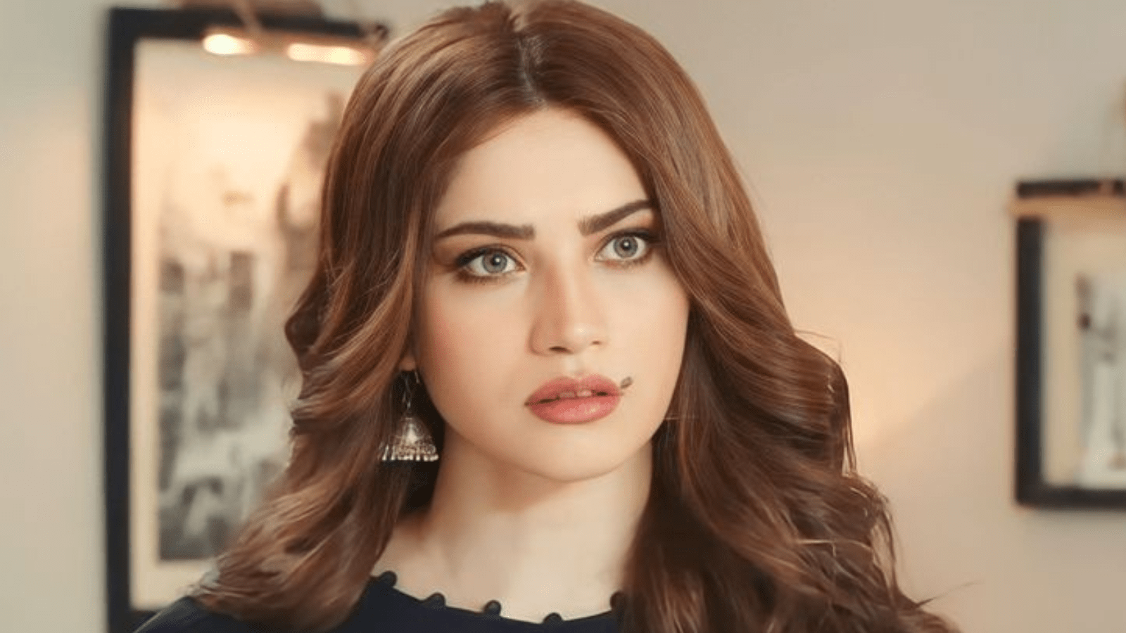 Neelam Muneer actress best Pakistani drama list