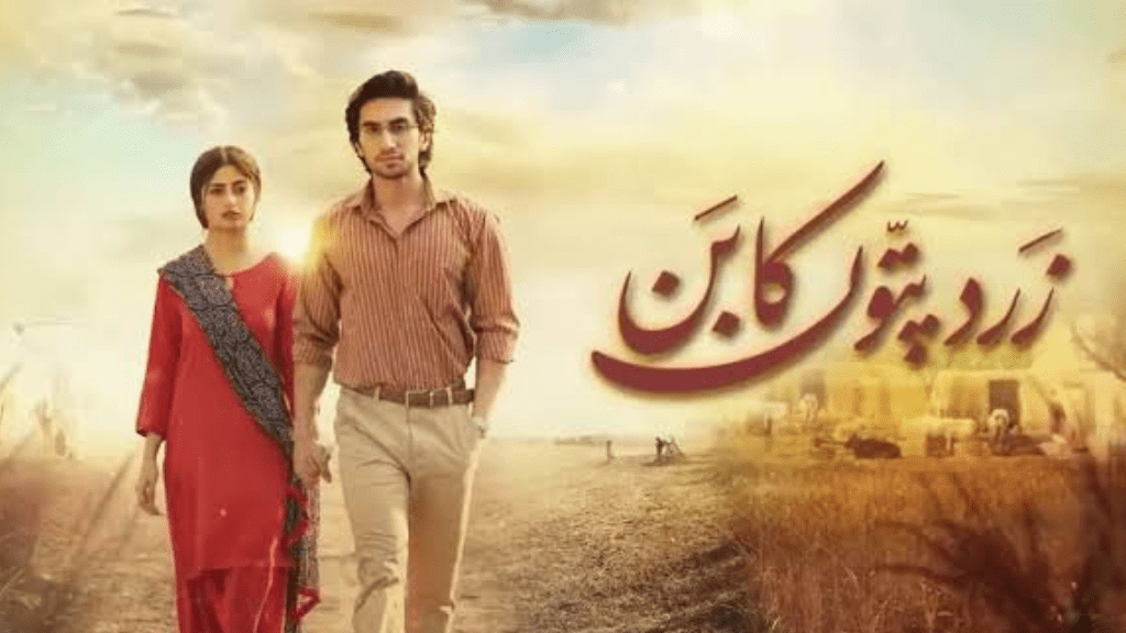 Sajal Ali and Hamza Sohail drama, No Of Episode, years, Storyline, writer.