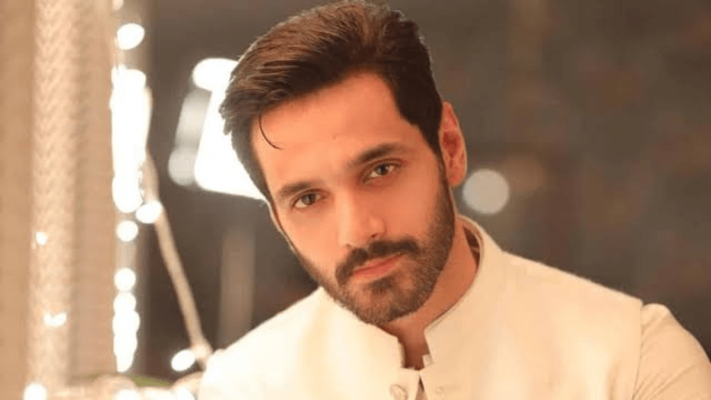 Wahaj Ali Best 10 Pakistani drama list, cast, Producer, writer, No Of Episode, years